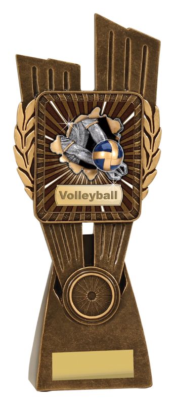 LR027D Volleyball Lynx 24.5cm