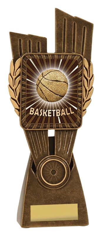 LR034D Basketball Lynx 24.5cm