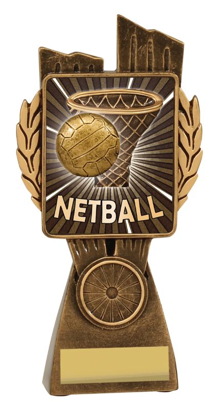 LR037B Netball Lynx 17.5cm