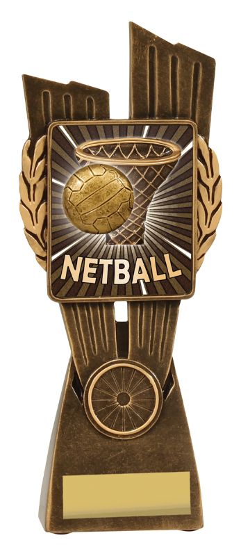 LR037C Netball Lynx 21cm