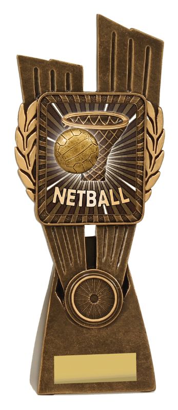 LR037D Netball Lynx 24.5cm