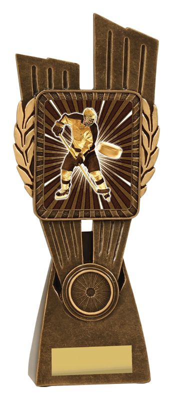 LR050D Ice Hockey Lynx 24.5cm