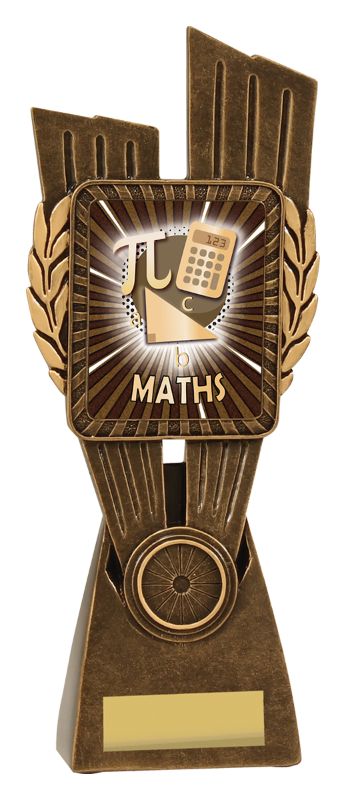 LR102D Maths Lynx 24.5cm
