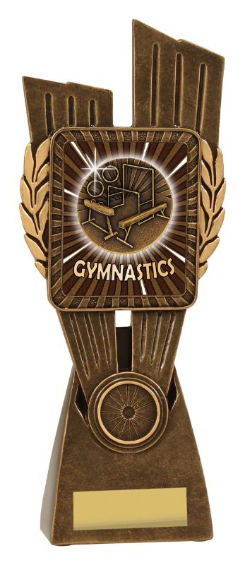 LR914D Gymnastics Lynx 24.5cm