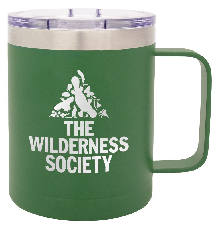 LSC104 Green Double Wall Mug with Handle 400ml