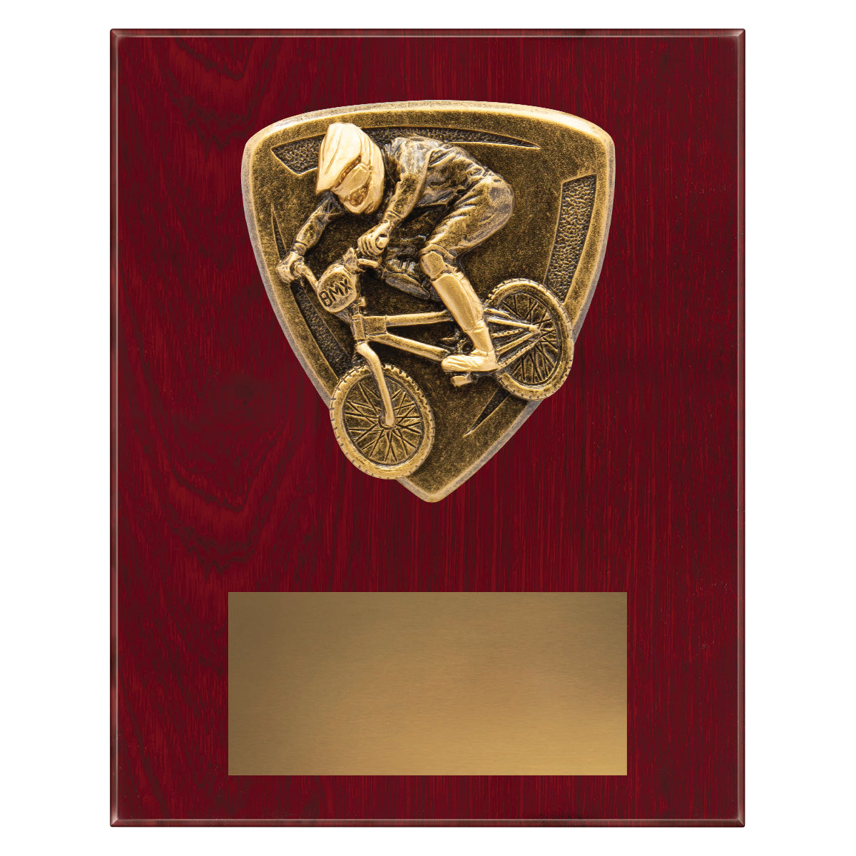 NPL07 Nova Plaque - BMX