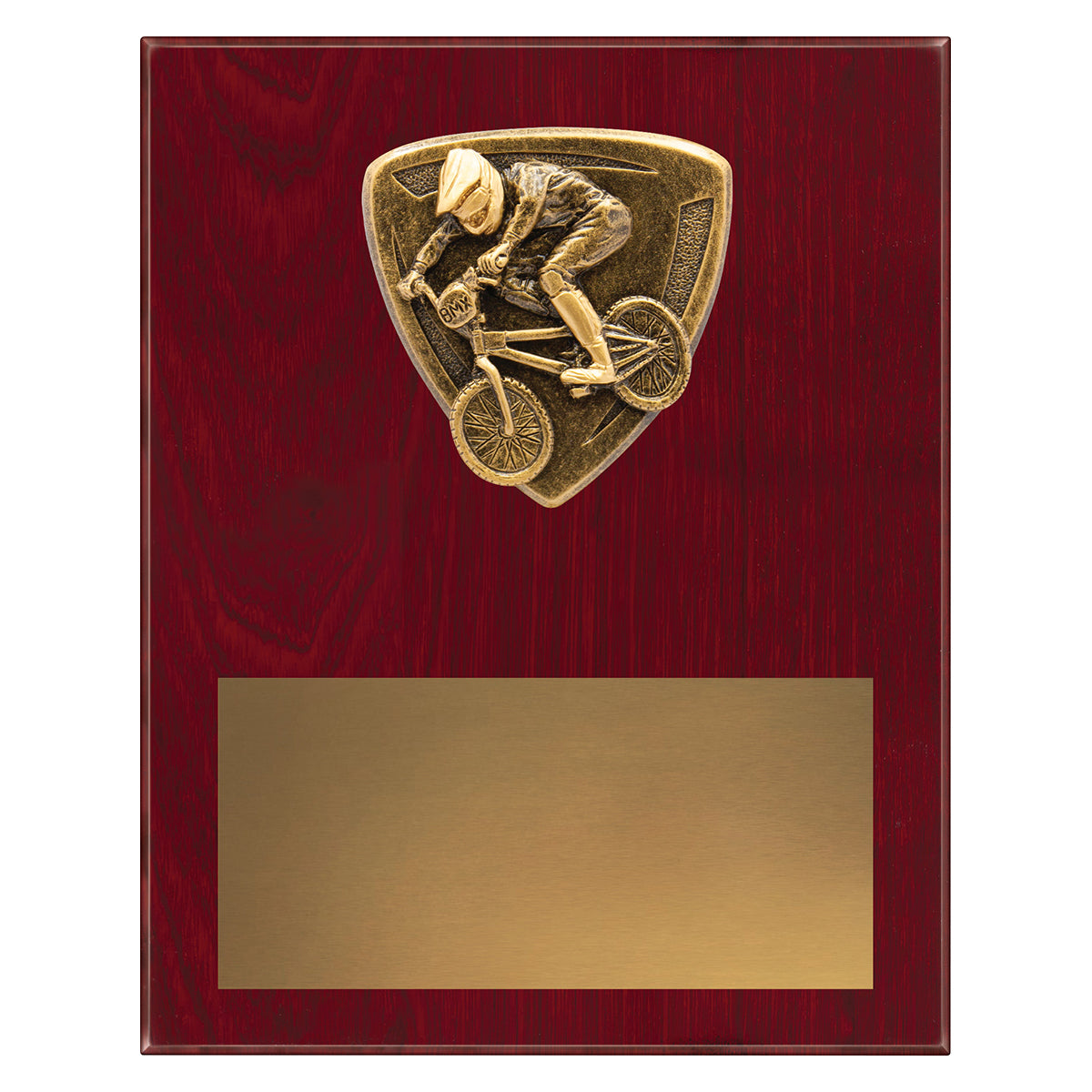 NPL07 Nova Plaque - BMX