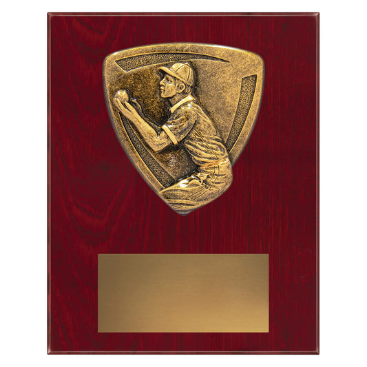 NPL10 Nova Plaque - Fielding