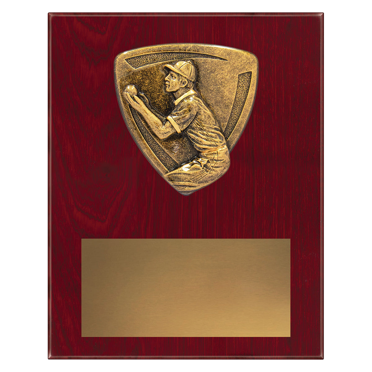 NPL10 Nova Plaque - Fielding