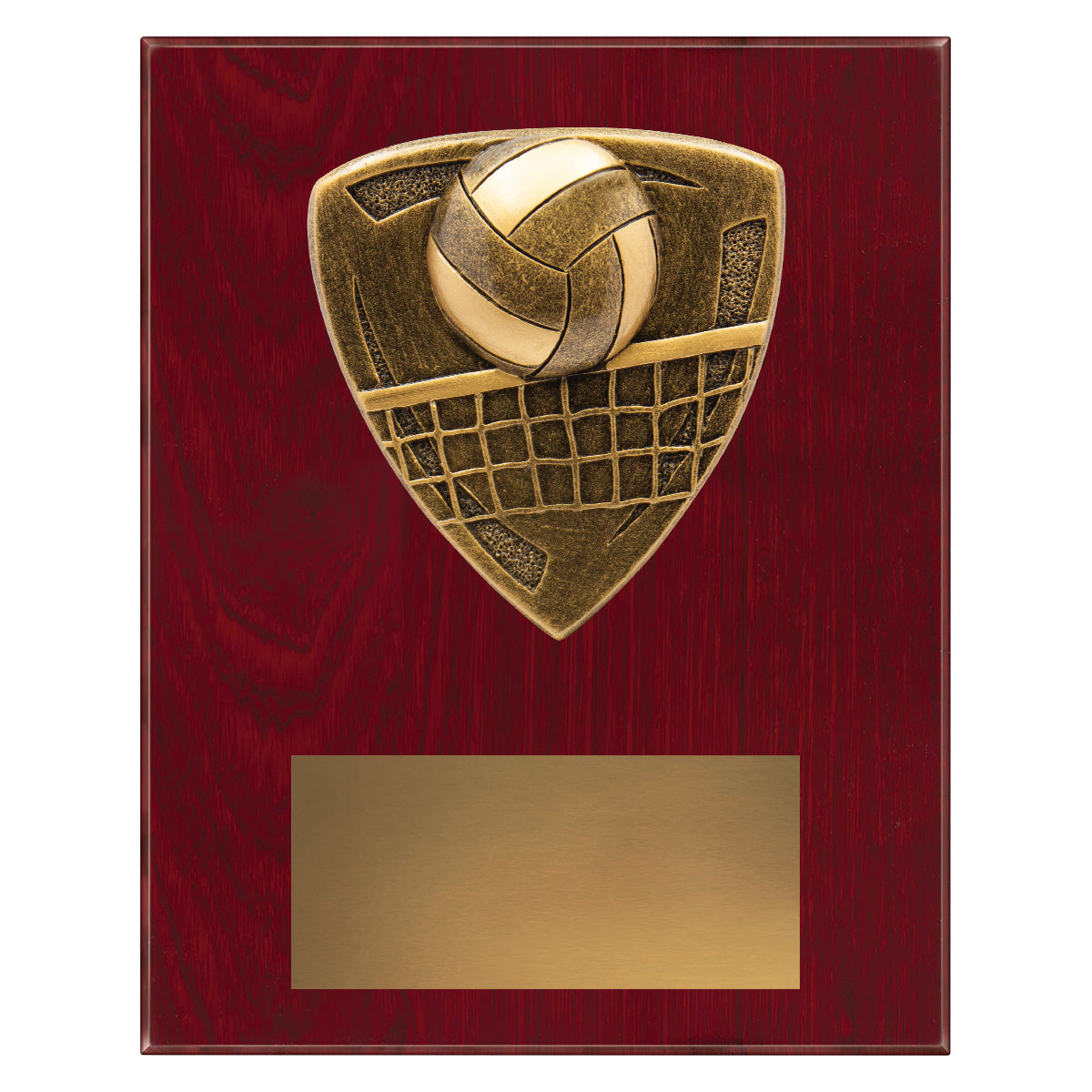 NPL27 Nova Plaque - Volleyball
