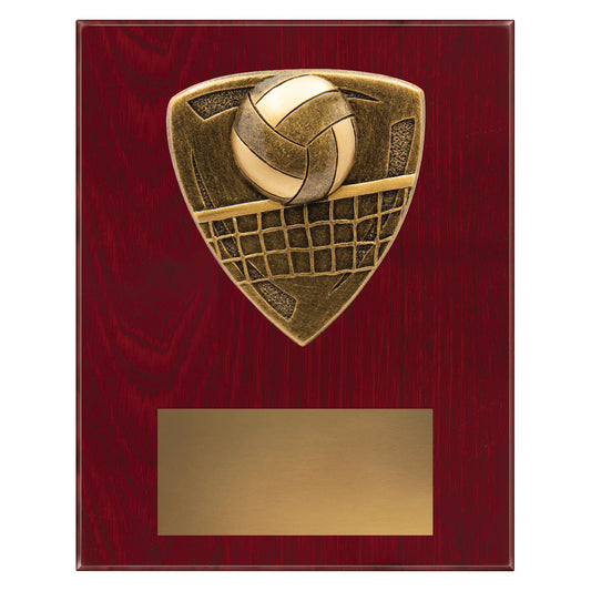 NPL27 Nova Plaque - Volleyball