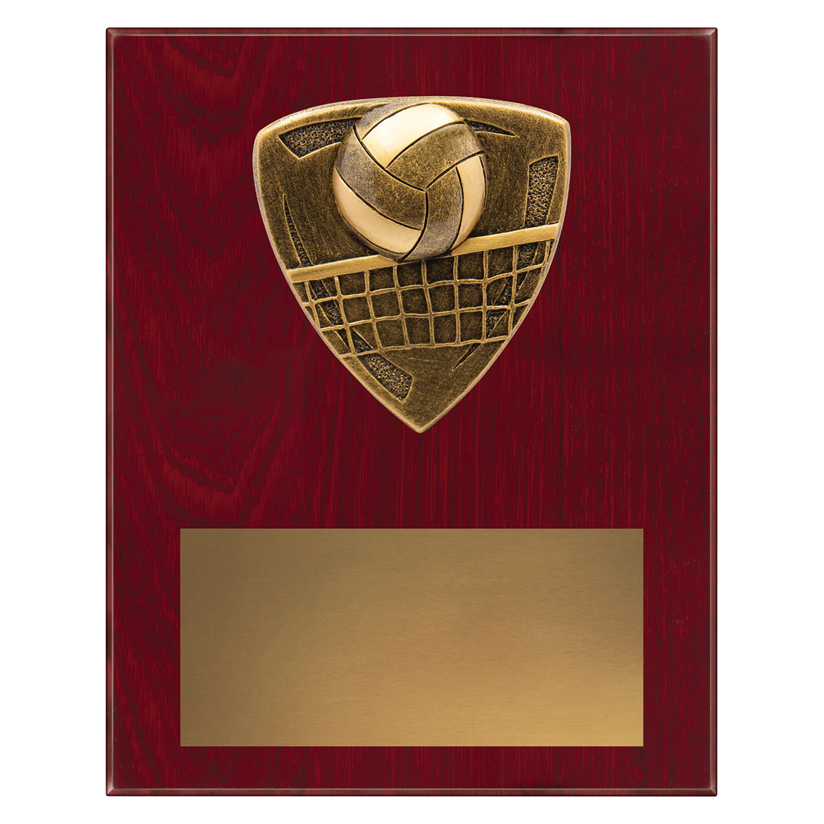 NPL27 Nova Plaque - Volleyball