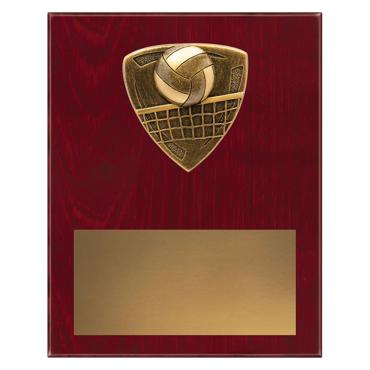 NPL27 Nova Plaque - Volleyball