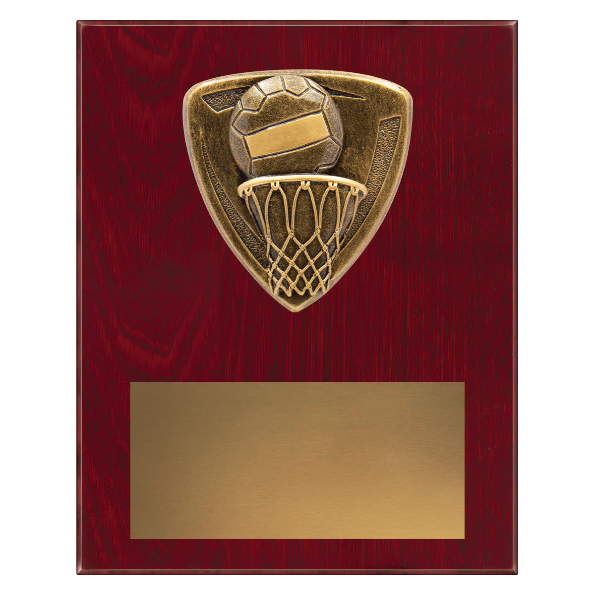 NPL37 Nova Plaque - Netball