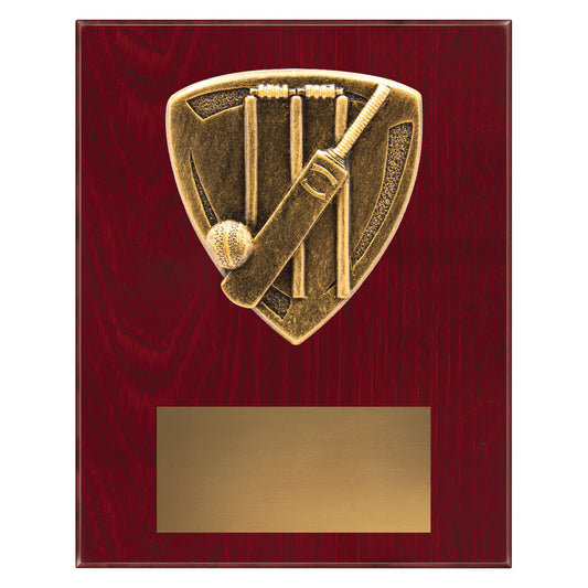 NPL40 Nova Plaque - Cricket