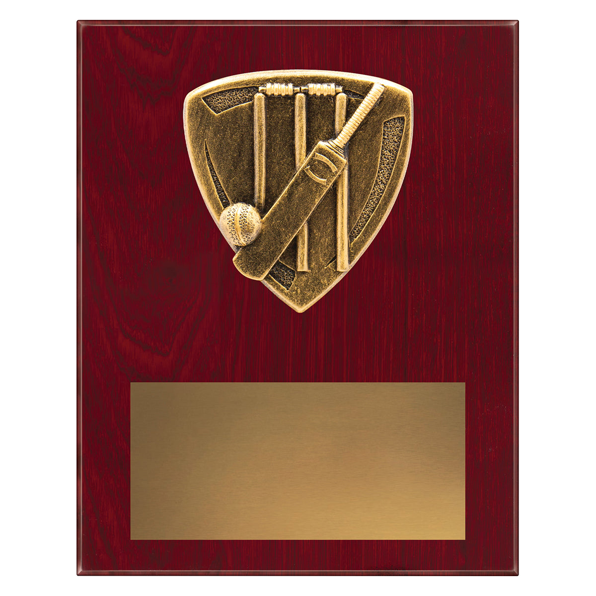NPL40 Nova Plaque - Cricket