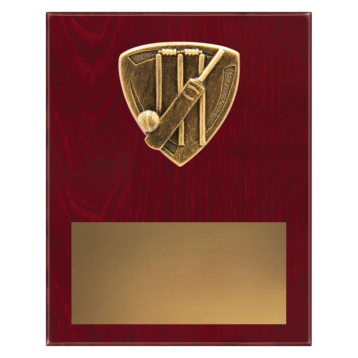 NPL40 Nova Plaque - Cricket