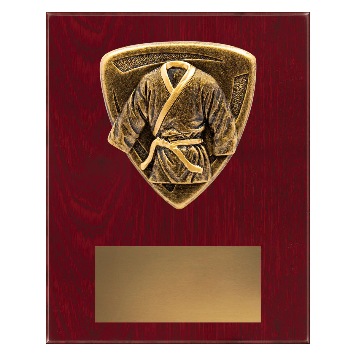 NPL45 Nova Plaque - Martial Arts