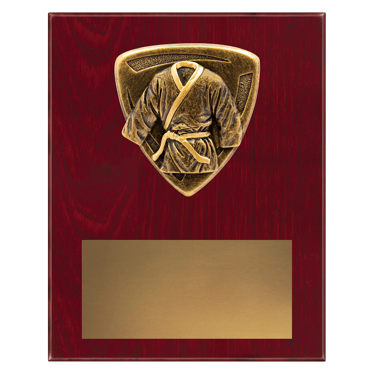 NPL45 Nova Plaque - Martial Arts