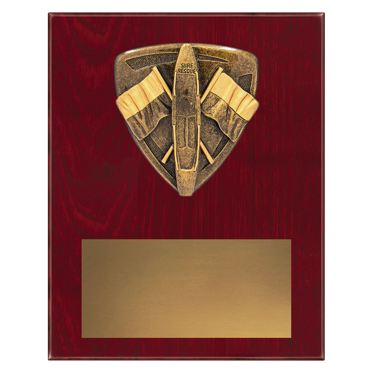 NPL58 Nova Plaque - Lifesaving