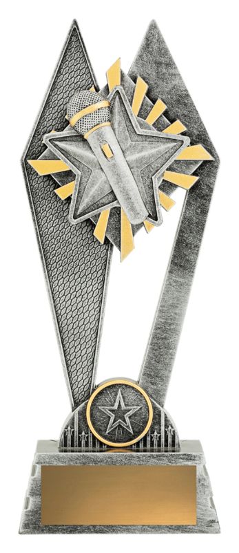 P213C Peak Public Speaking 22.5cm