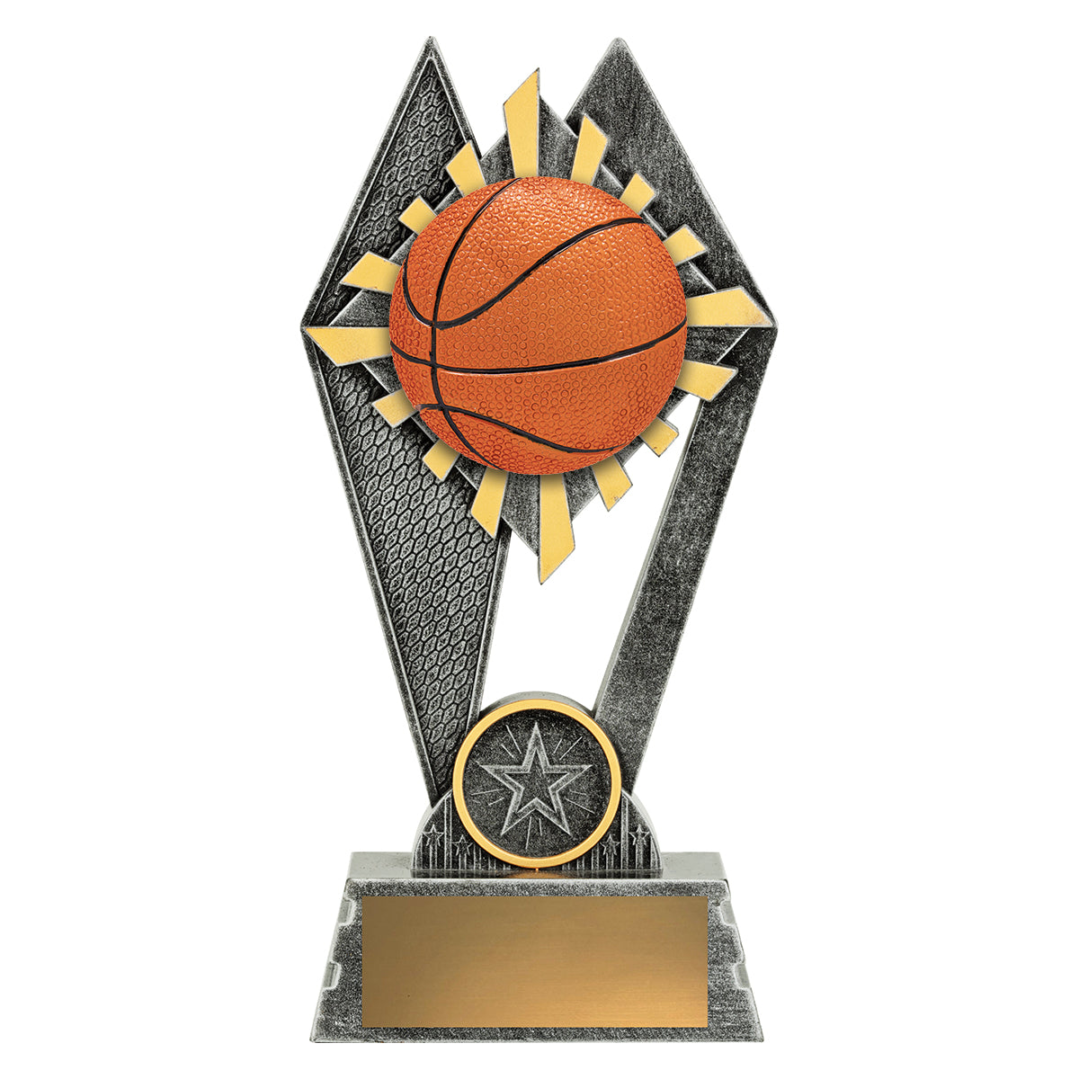 P2160 Peak - Basketball in Colour