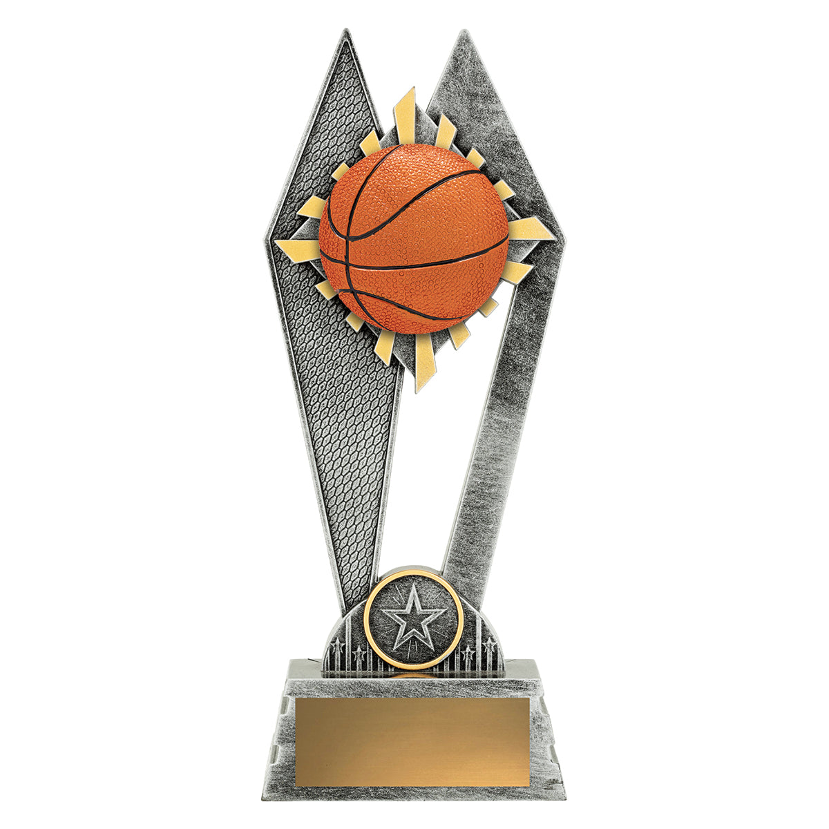 P2160 Peak - Basketball in Colour