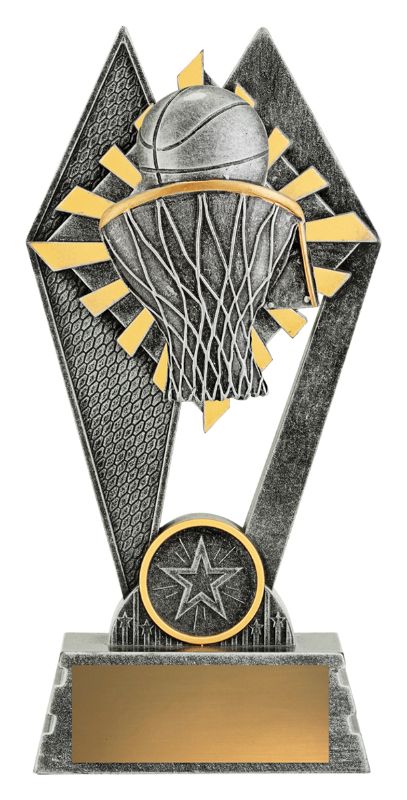 P234A Peak Basketball 18cm