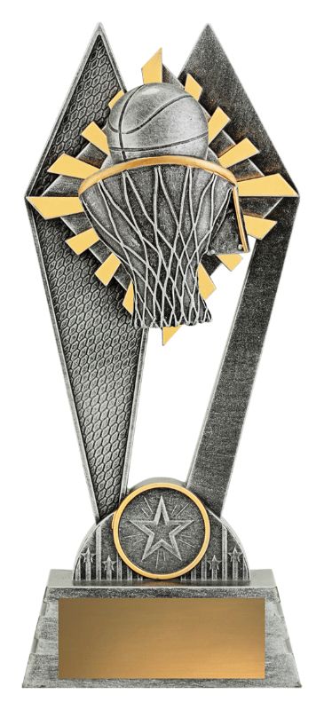 P234B Peak Basketball 20cm