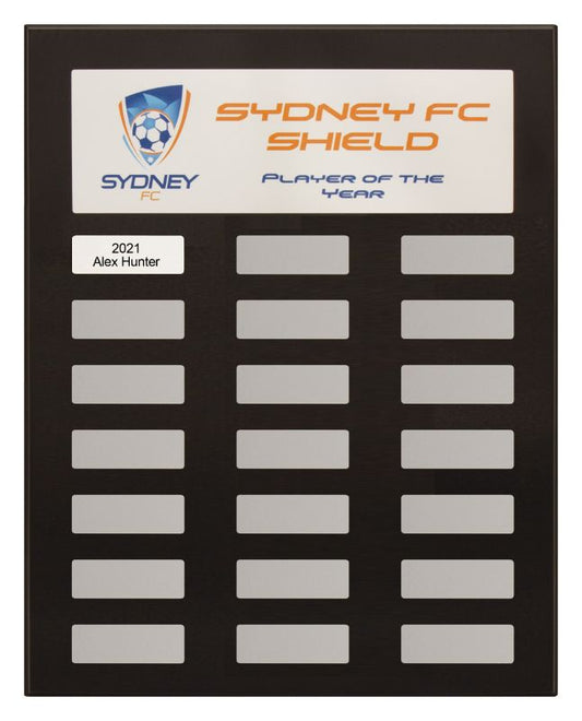PEQ-12K-03 Assembly Plaque Colour Headline 38cm