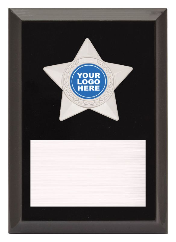 PL08A Star Plaque Silver 15cm
