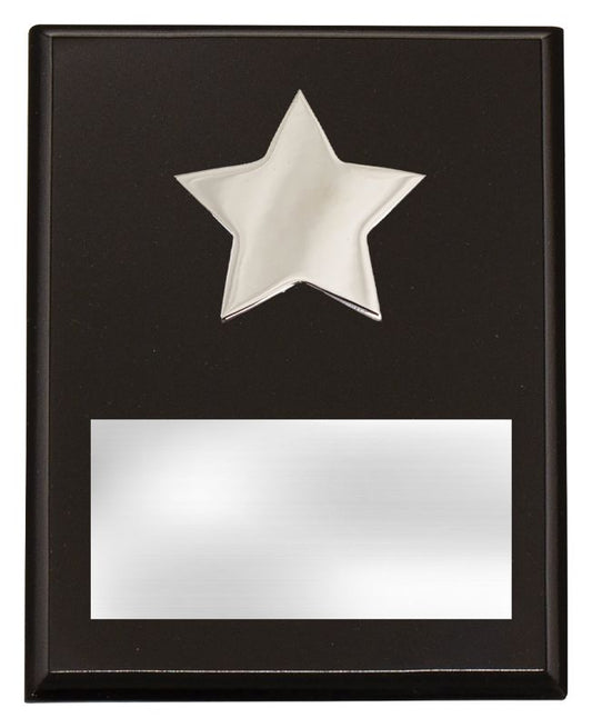 PL11A Plaque with Metal Star 15cm
