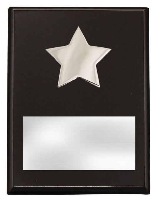 PL11B Plaque with Metal Star 17.5cm