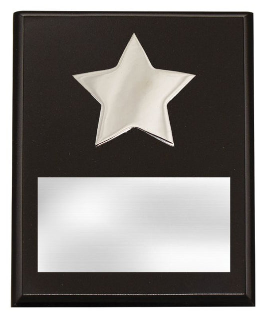 PL11C Plaque with Metal Star 20cm