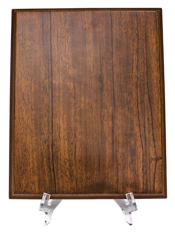 PLE17 Plaque Easel Clear Large 19cm