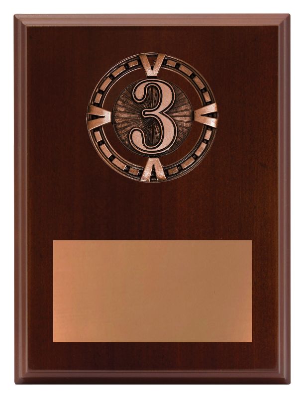 PV653 Varsity Plaque - 3rd Place 20cm