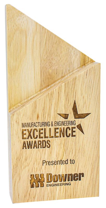 QW185A Arrow Award 19.5cm