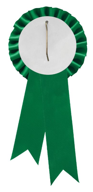 RST04H Green Rosette w/ Hook 90 x 21cm