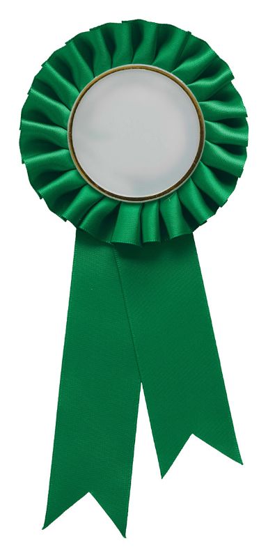RST04H Green Rosette w/ Hook 90 x 21cm