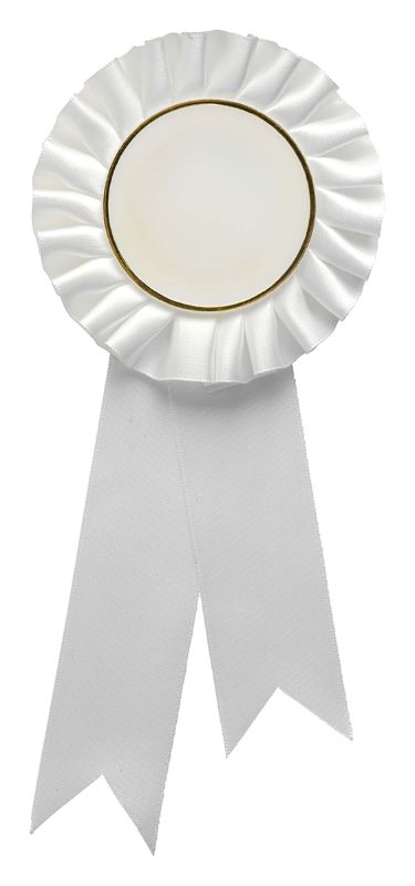 RST05H White Rosette w/ Hook 90 x 21cm