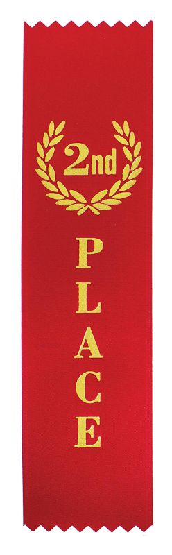 RT2 2nd Place Ribbon 20cm