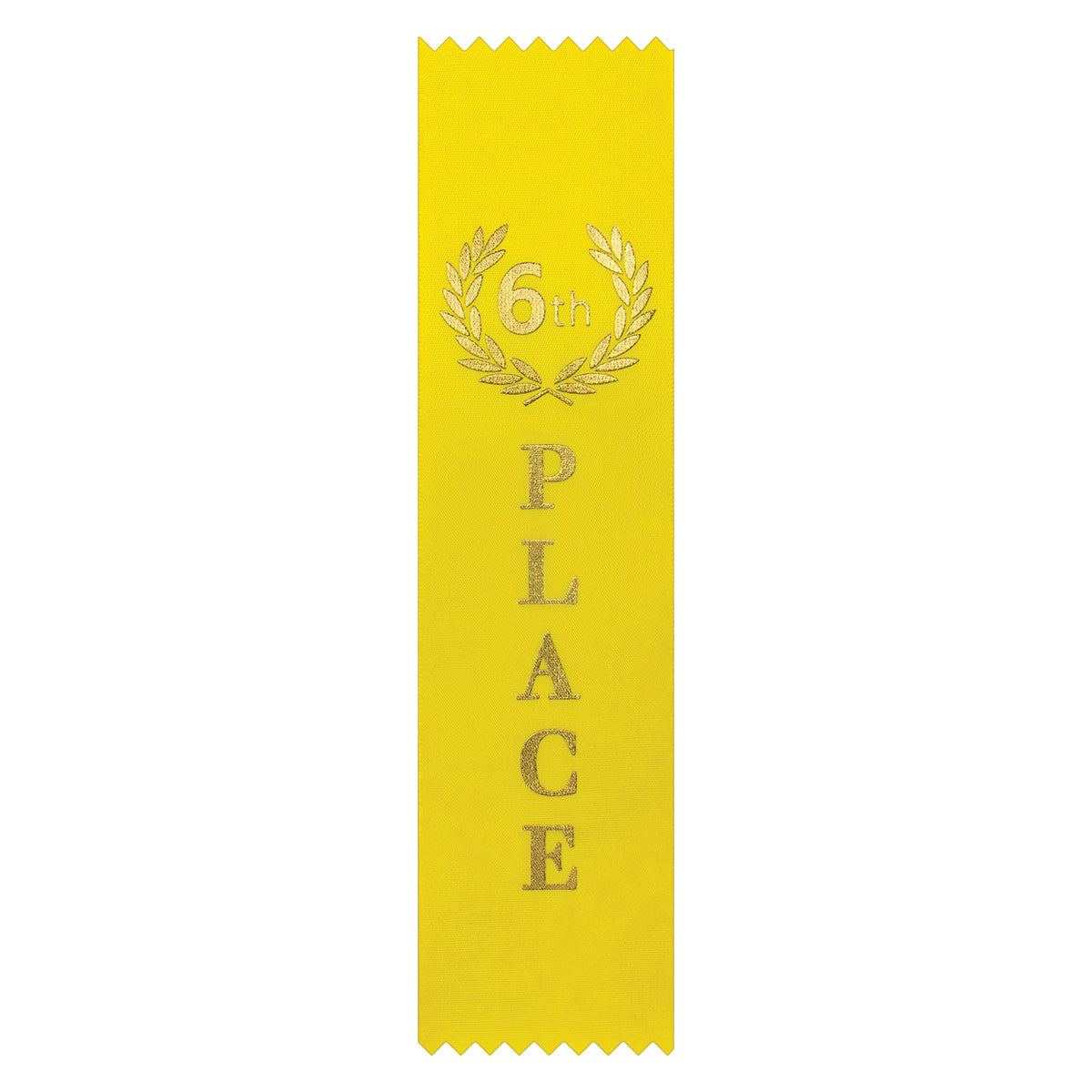 RT6 Ribbon - 6th Place