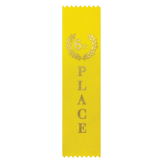 RT6 Ribbon - 6th Place