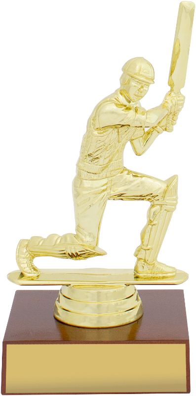 S0017 Cricket Timber Column 15cm