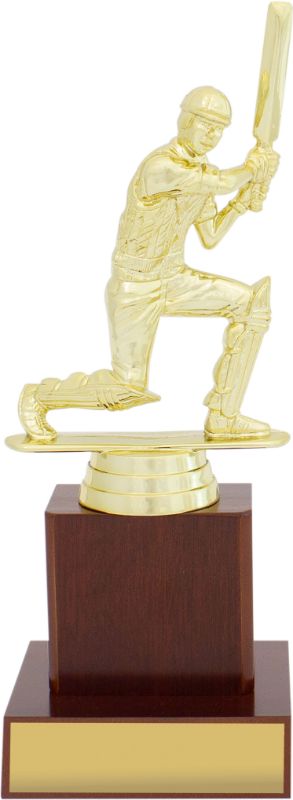 S0018 Cricket Timber Column 20cm