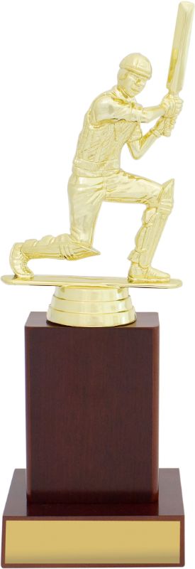 S0019 Cricket Timber Column 22.5cm