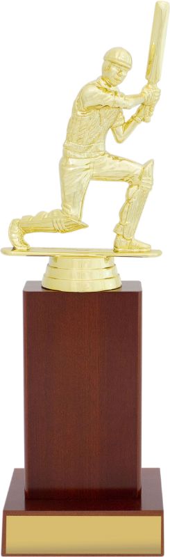 S0020 Cricket Timber Column 25cm