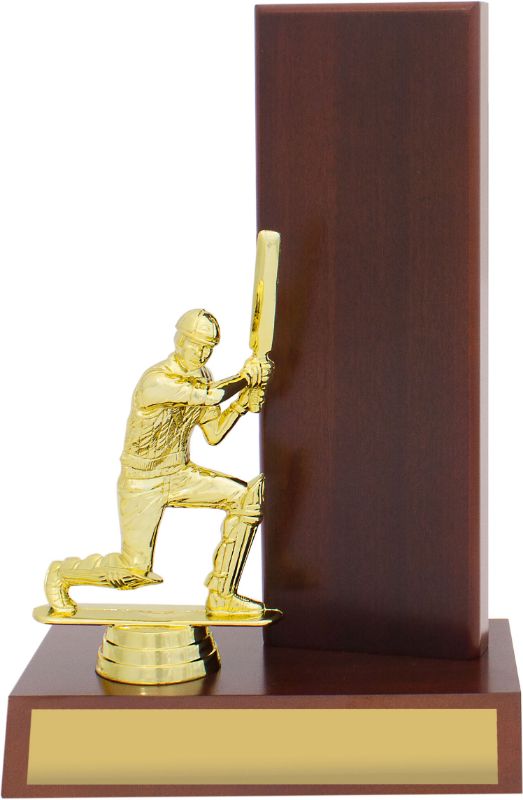 S0021 Cricket Timber Wing 22.5cm