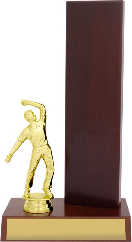 S0022 Cricket Timber Wing 27.5cm