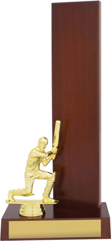 S0023 Cricket Timber Wing 32.5cm